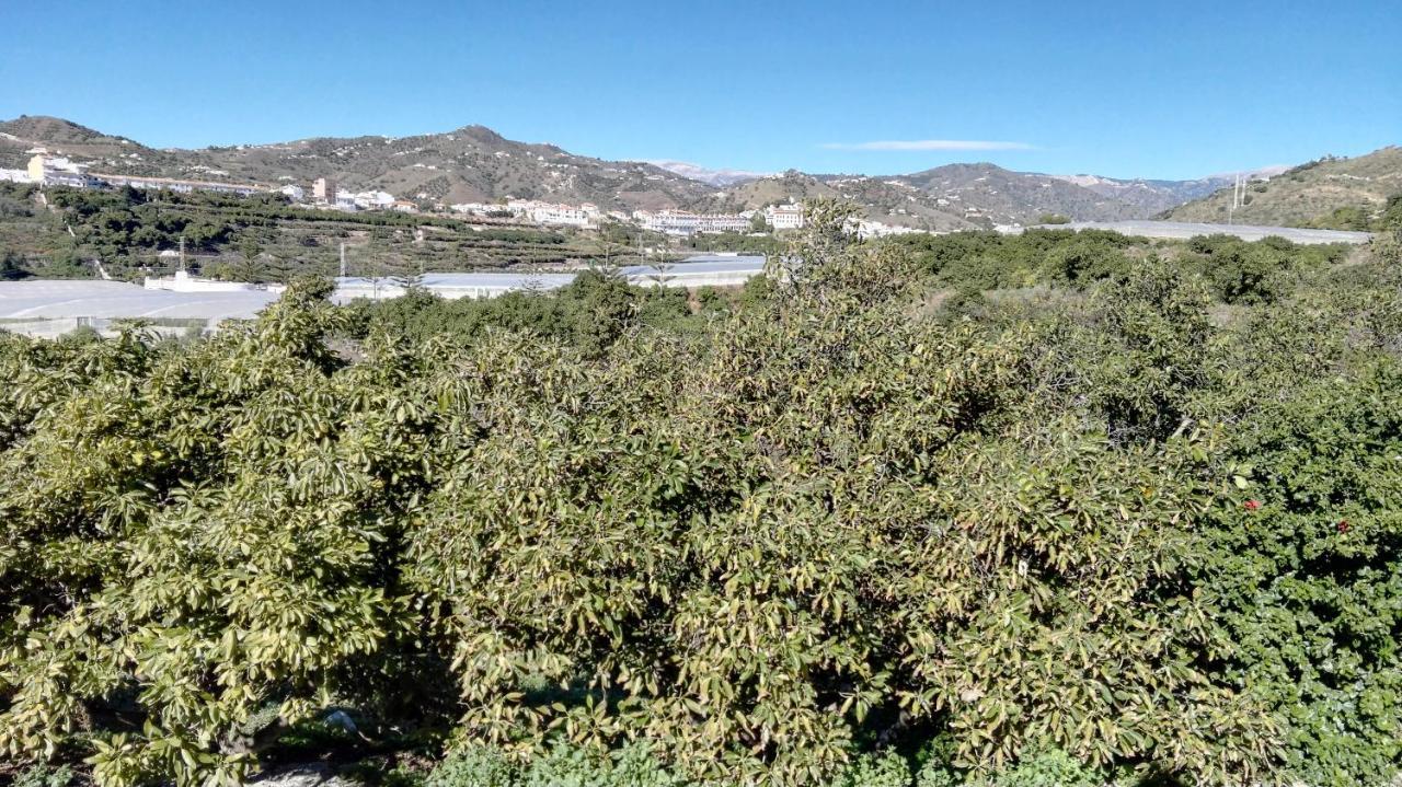 Casa Paloma Blanca Villa Málaga Buitenkant foto